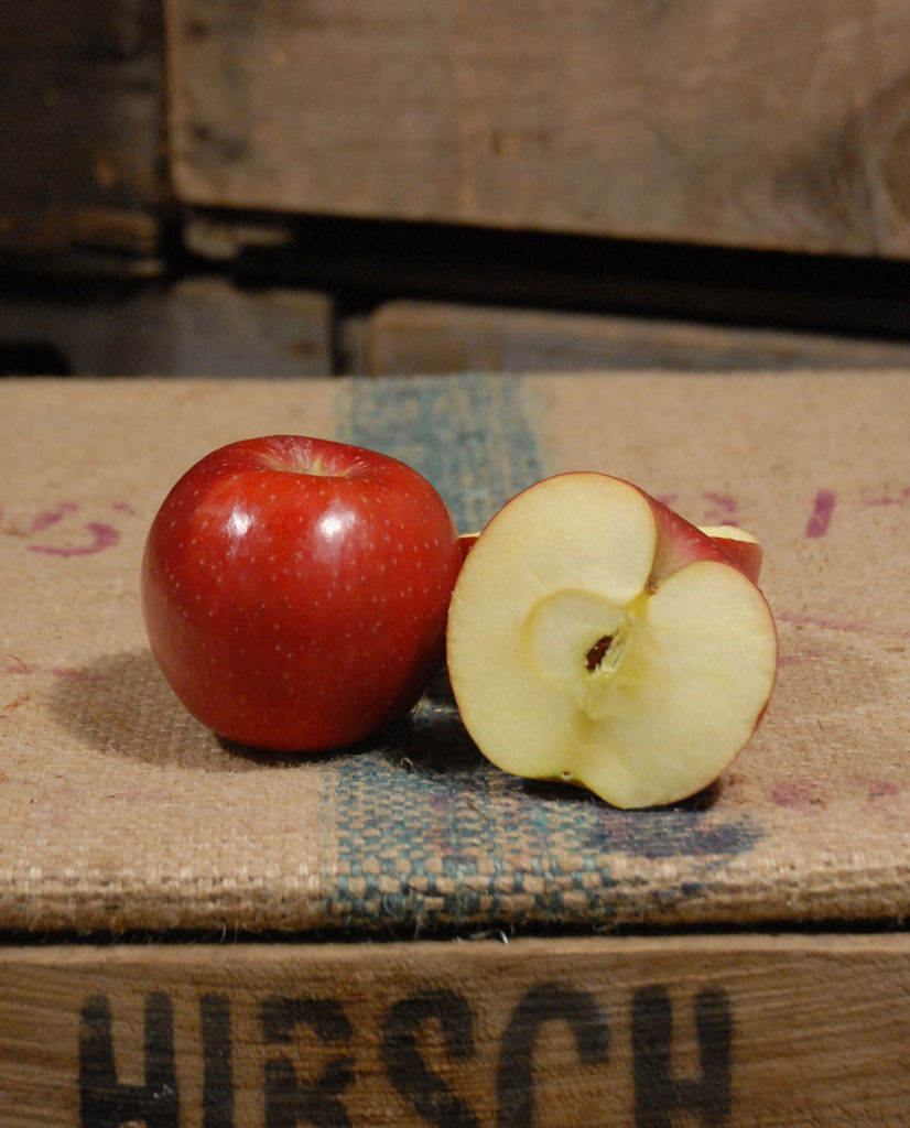 Stayman Winesap Hirsch Fruit Farm