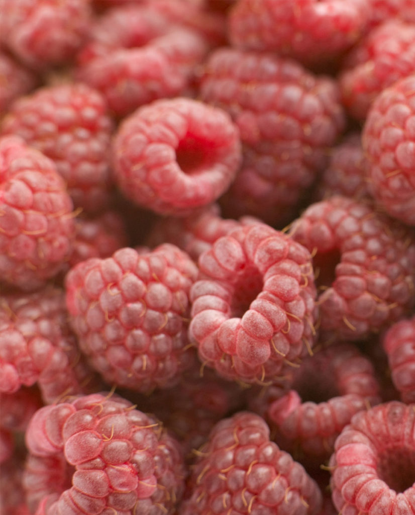 Red Raspberry – Hirsch Fruit Farm